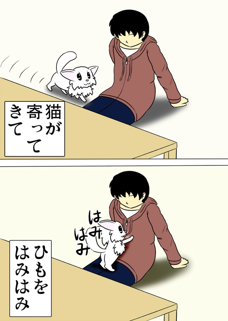 ミーのおもちゃ箱 第1413話～第1416話