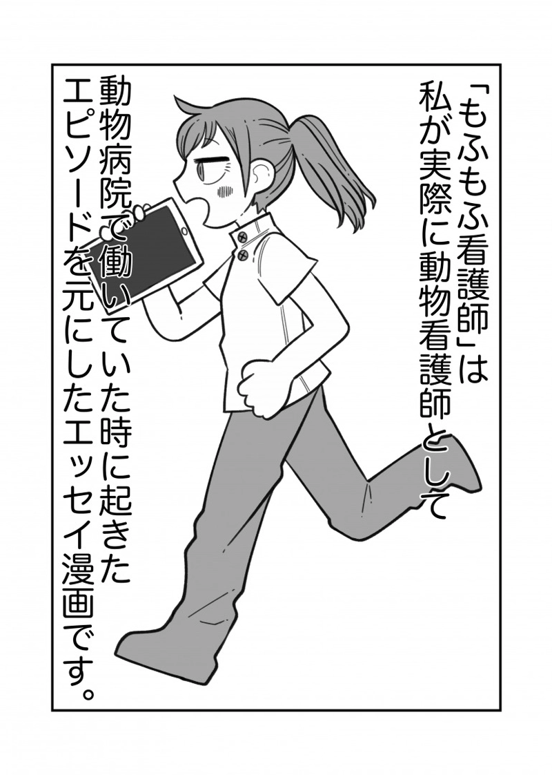 動物看護師の仕事