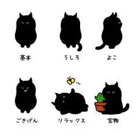 くろねこ