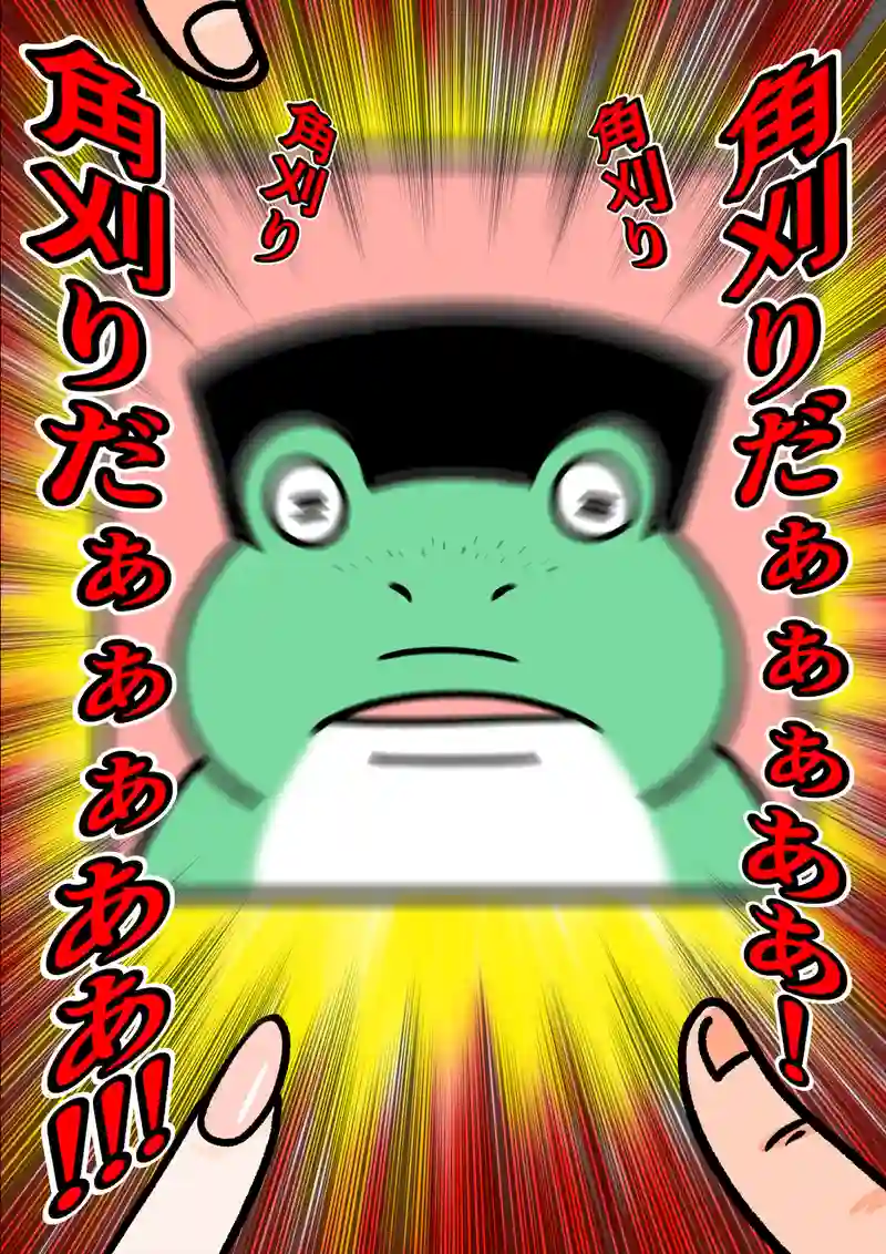 急に来てすぐカエル(159)