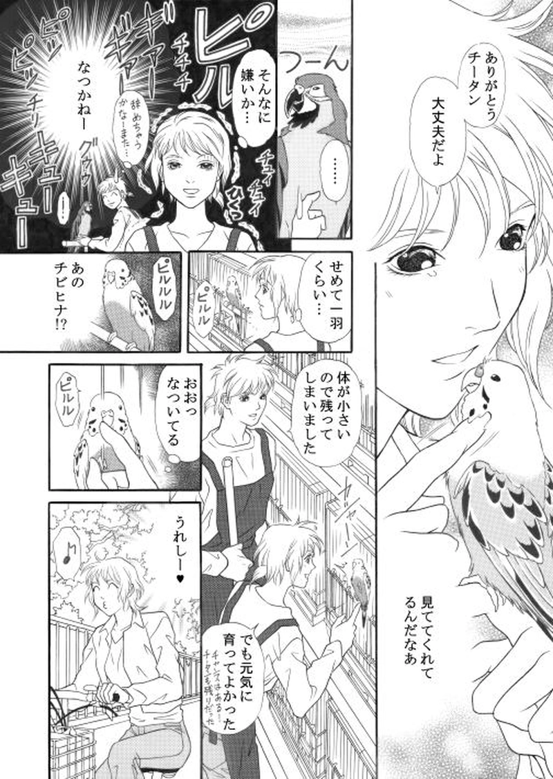 青いお鼻のチータン