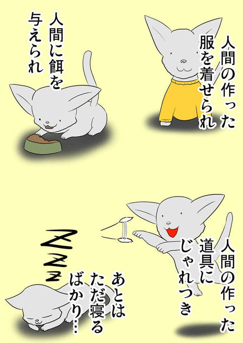 ふぁりはみ　第四十二話