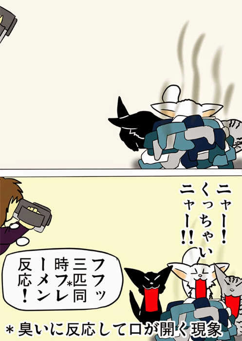 ミーのおもちゃ箱１５６話