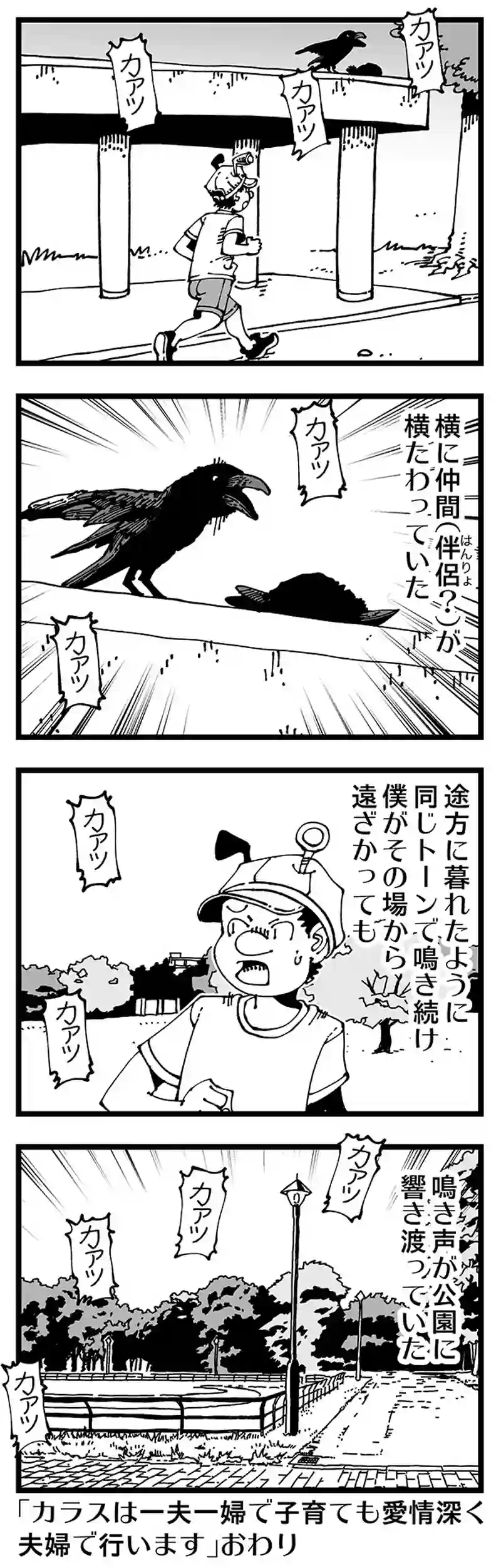 【普通】悲しい鳴き声