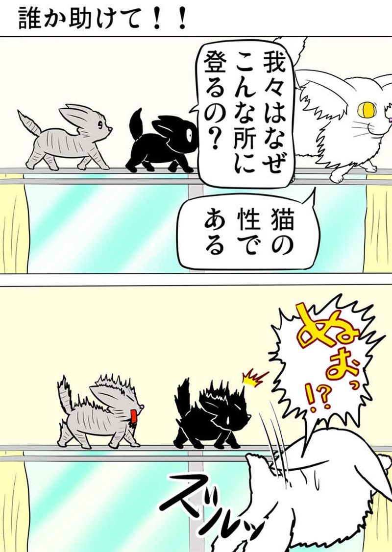 ミーのおもちゃ箱４７６話