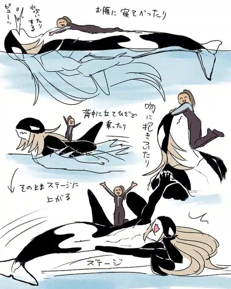 モルトバール１０
