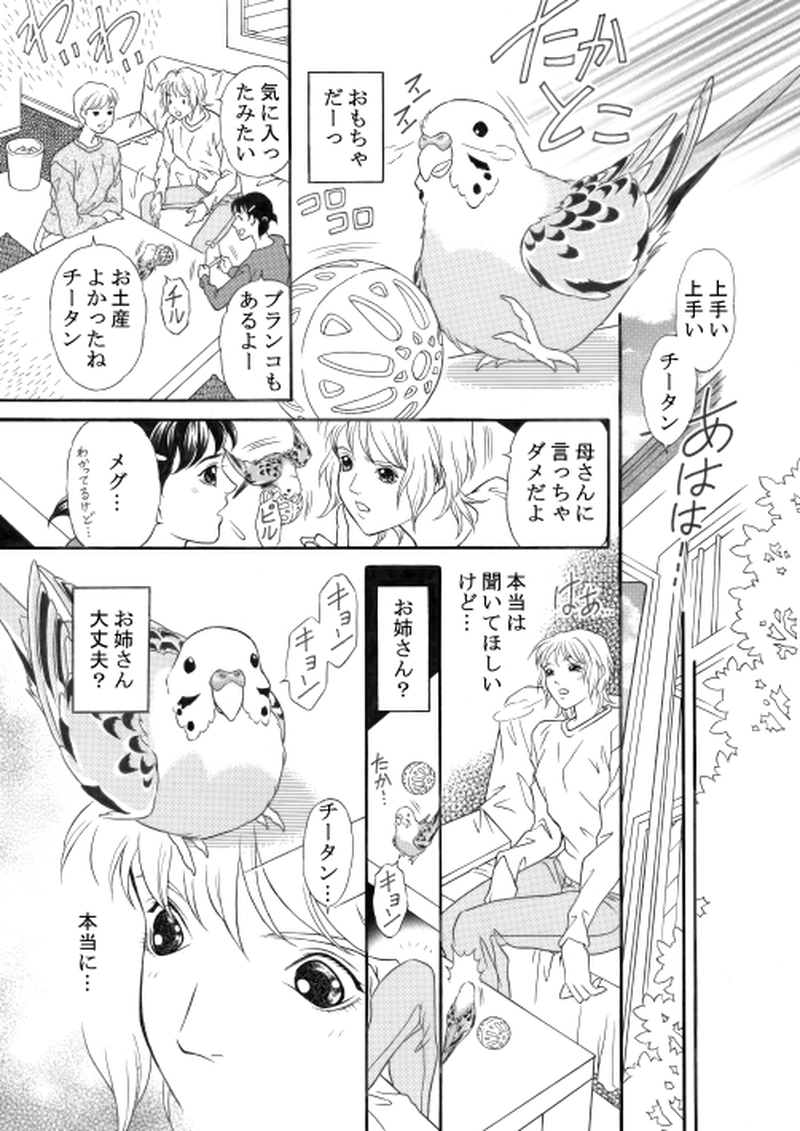 青いお鼻のチータン