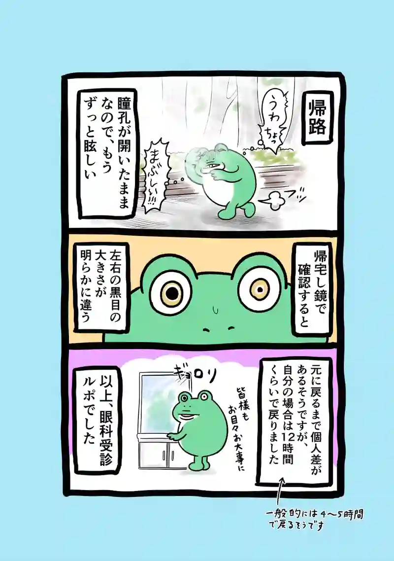 急に来てすぐカエル(260)