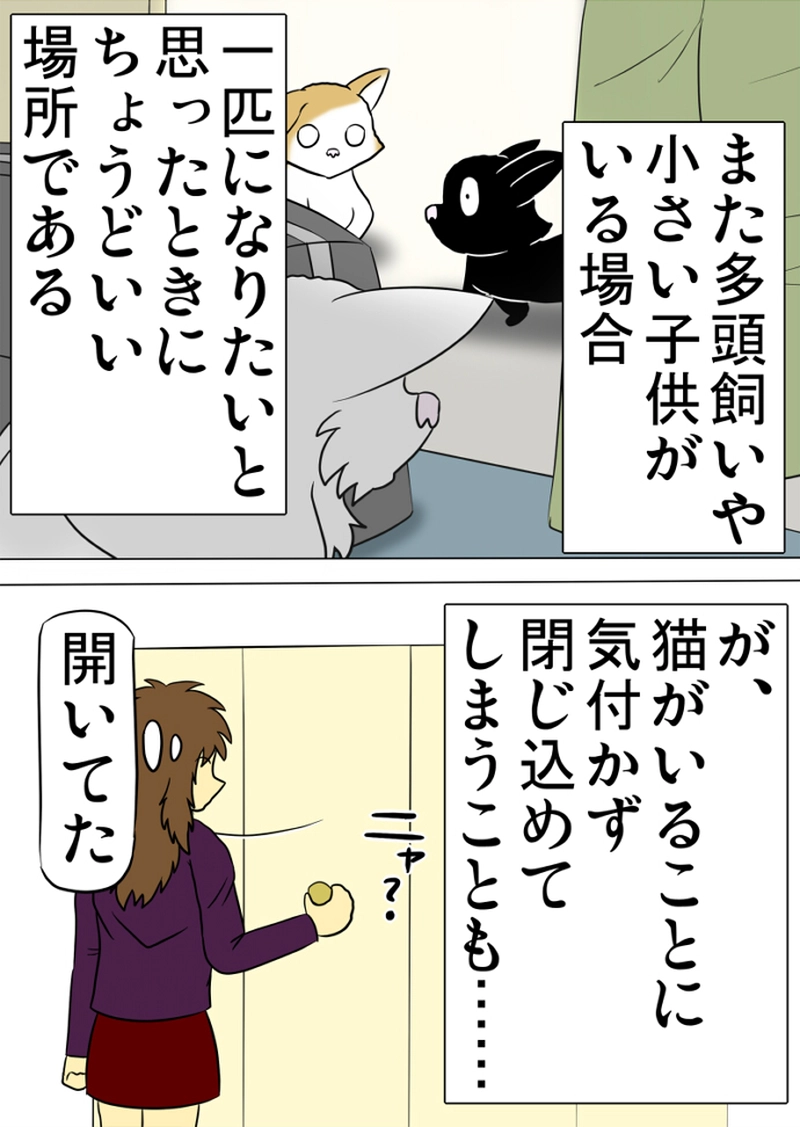 ミーのおもちゃ箱 第1258話～第1263話