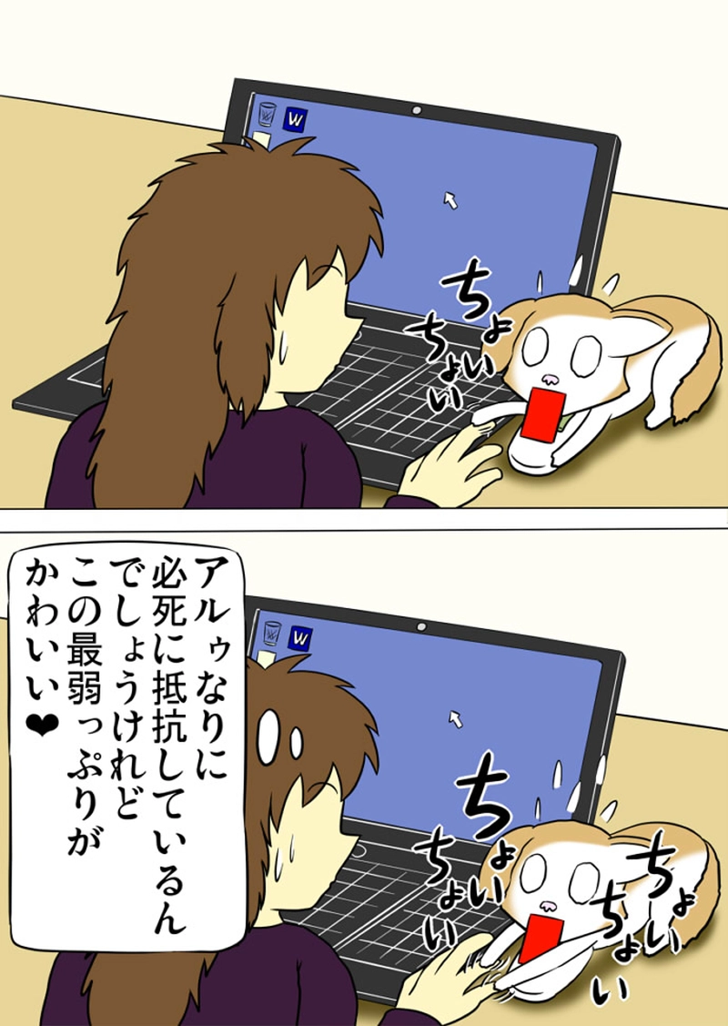 ミーのおもちゃ箱 第1359話～第1364話