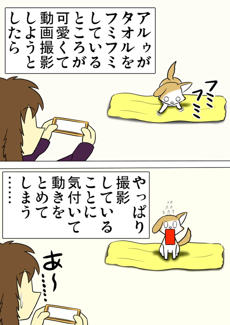 ミーのおもちゃ箱 第1306話～第1311話