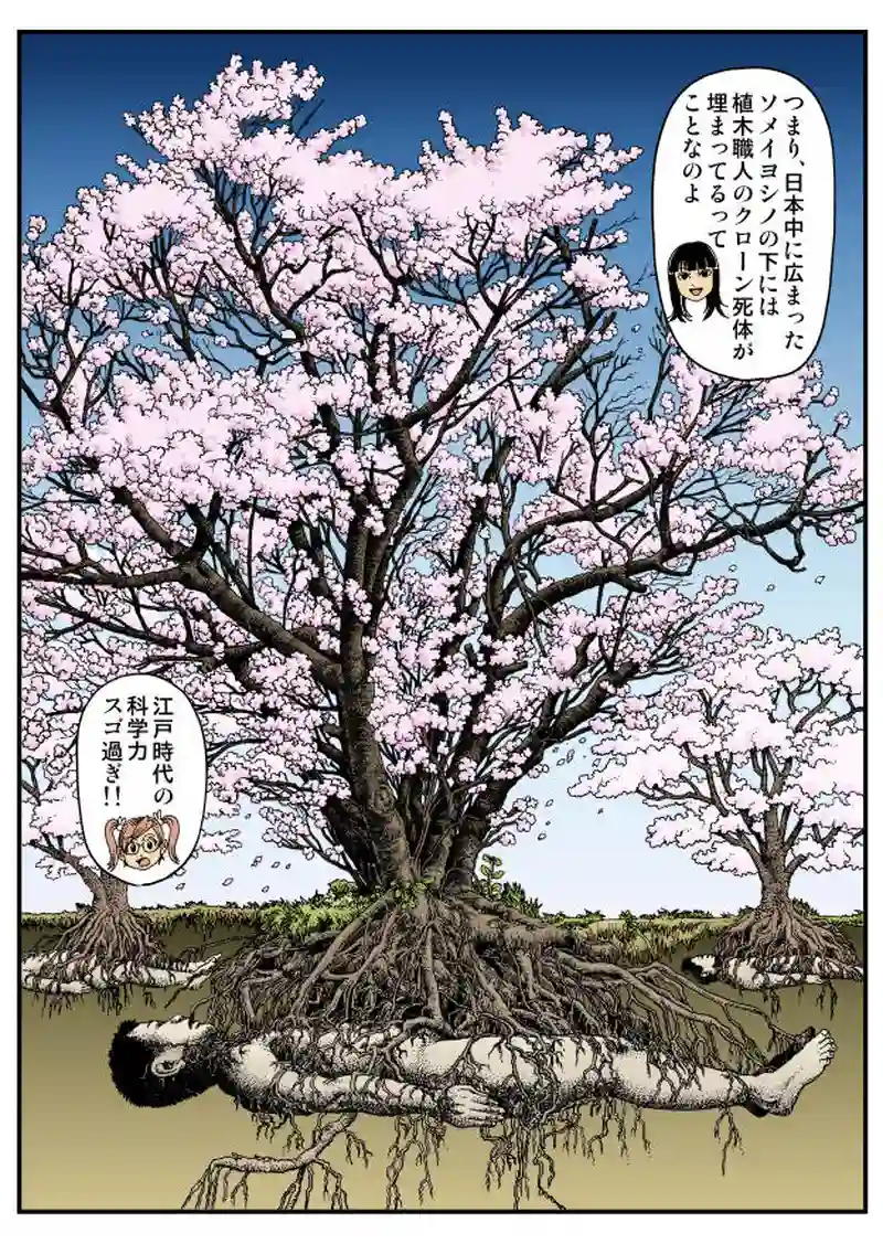 【微妙】櫻の樹の下には（梶井基次郎に捧ぐ）