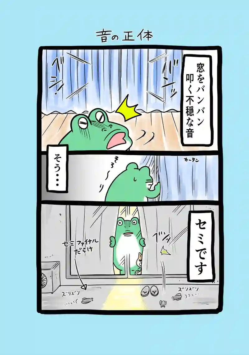 急に来てすぐカエル(210)