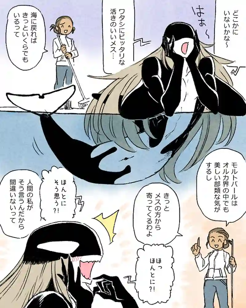モルトバール６