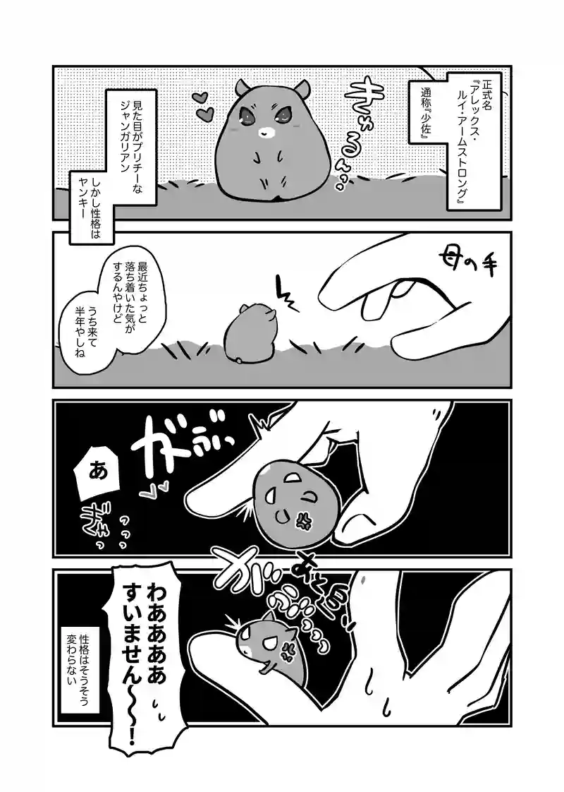 我が家の暴れん坊