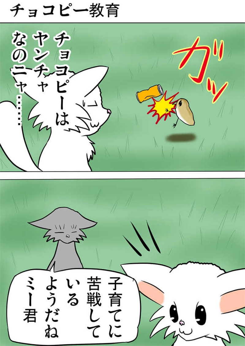 ミーのおもちゃ箱２３７話