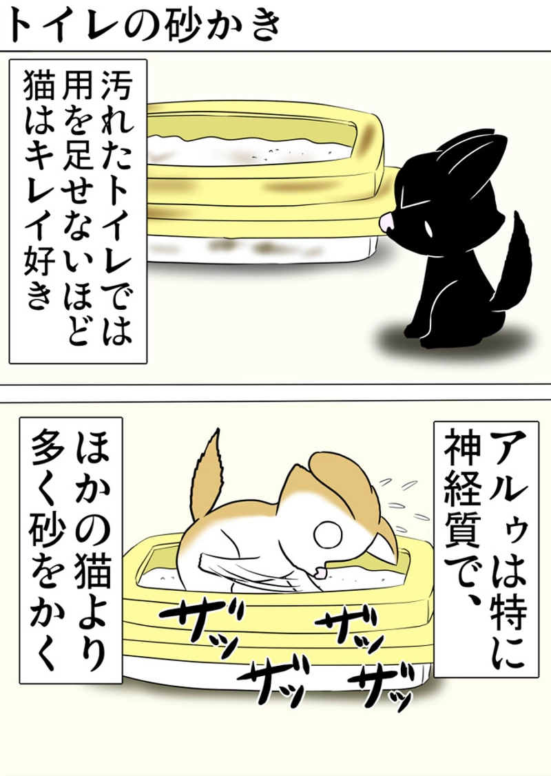 ミーのおもちゃ箱 第1300話～第1305話