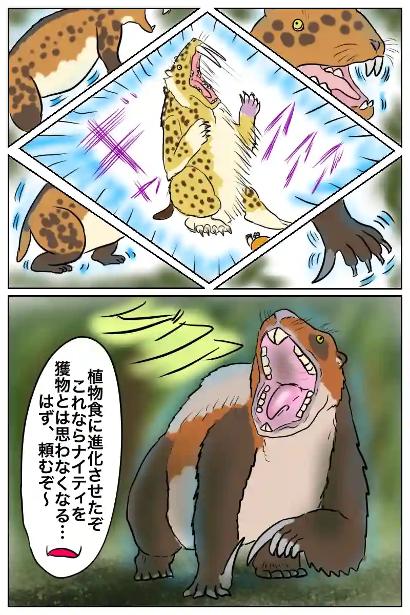 スペキュエヴォ3話