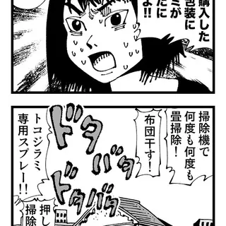 【普通】トコジラミの恐怖