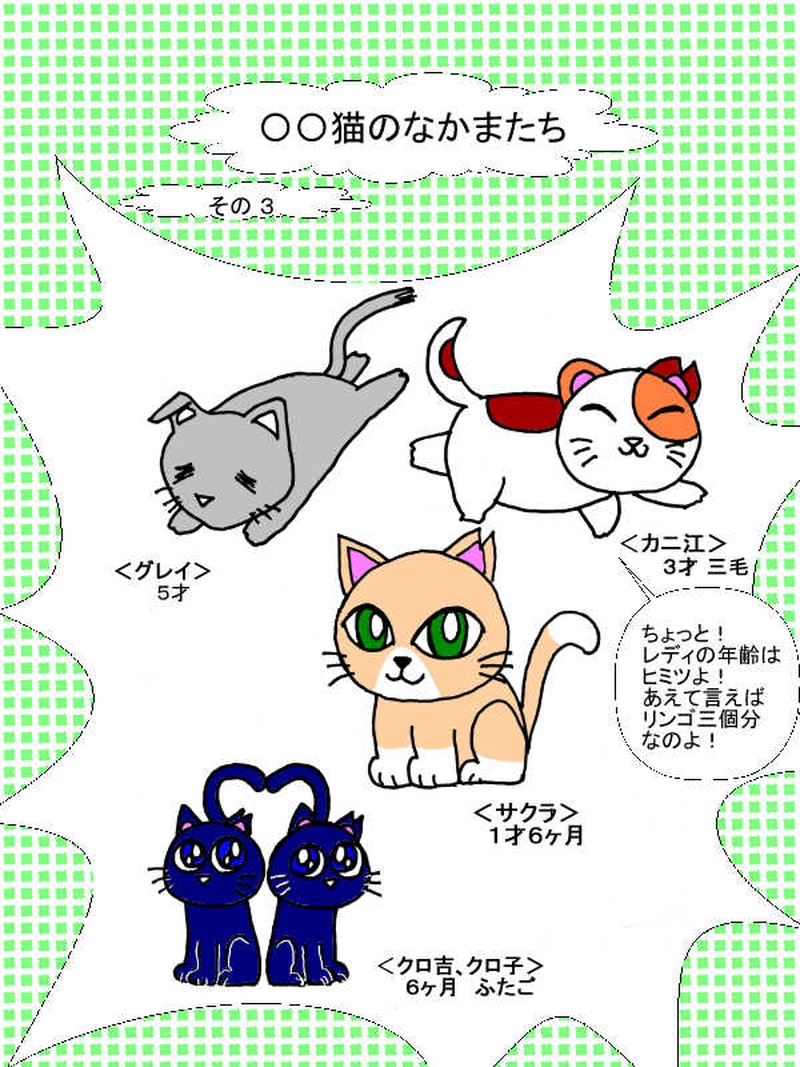 〇〇猫のなかまたち～サクラカットネコの日々 その３