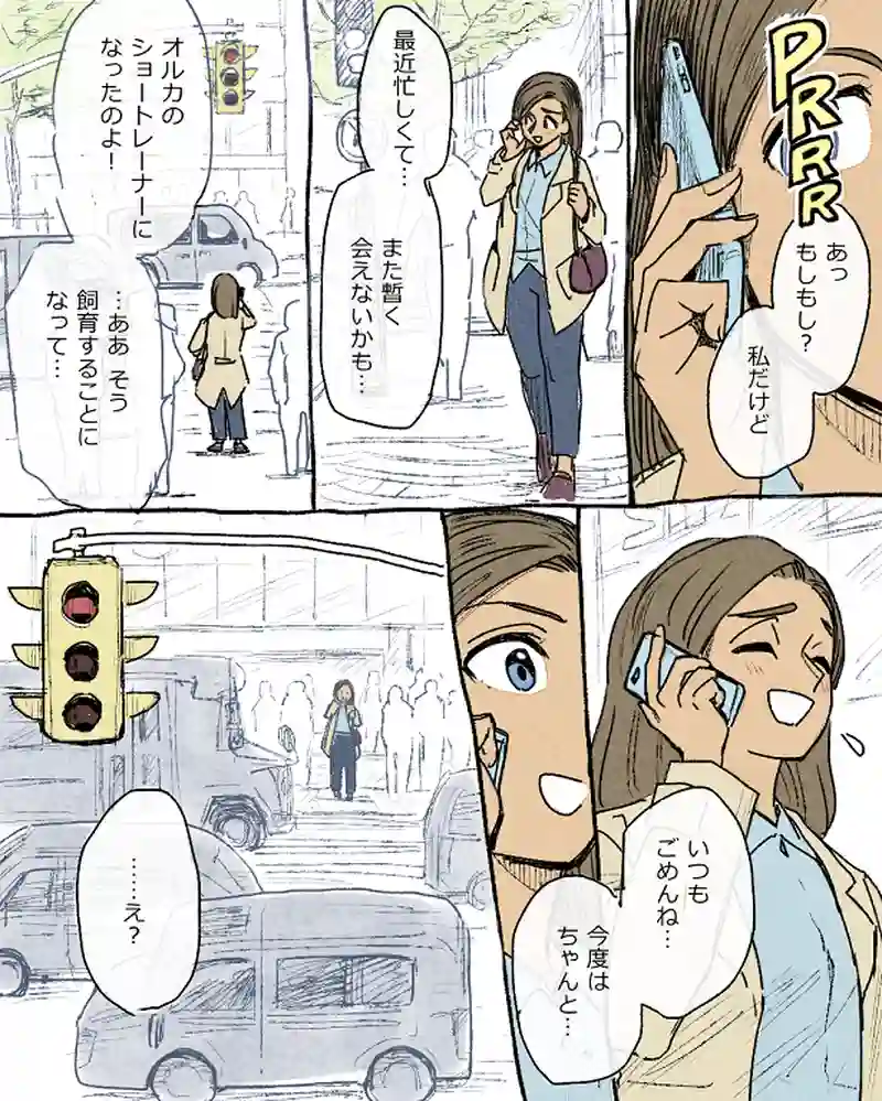モルトバール１０