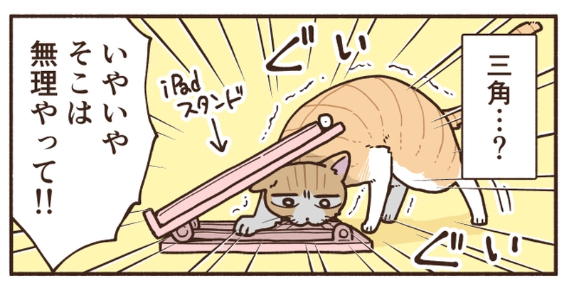 猫が吸い寄せられる魅惑のスポット