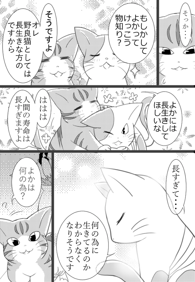 2匹目「キャッツナイト」