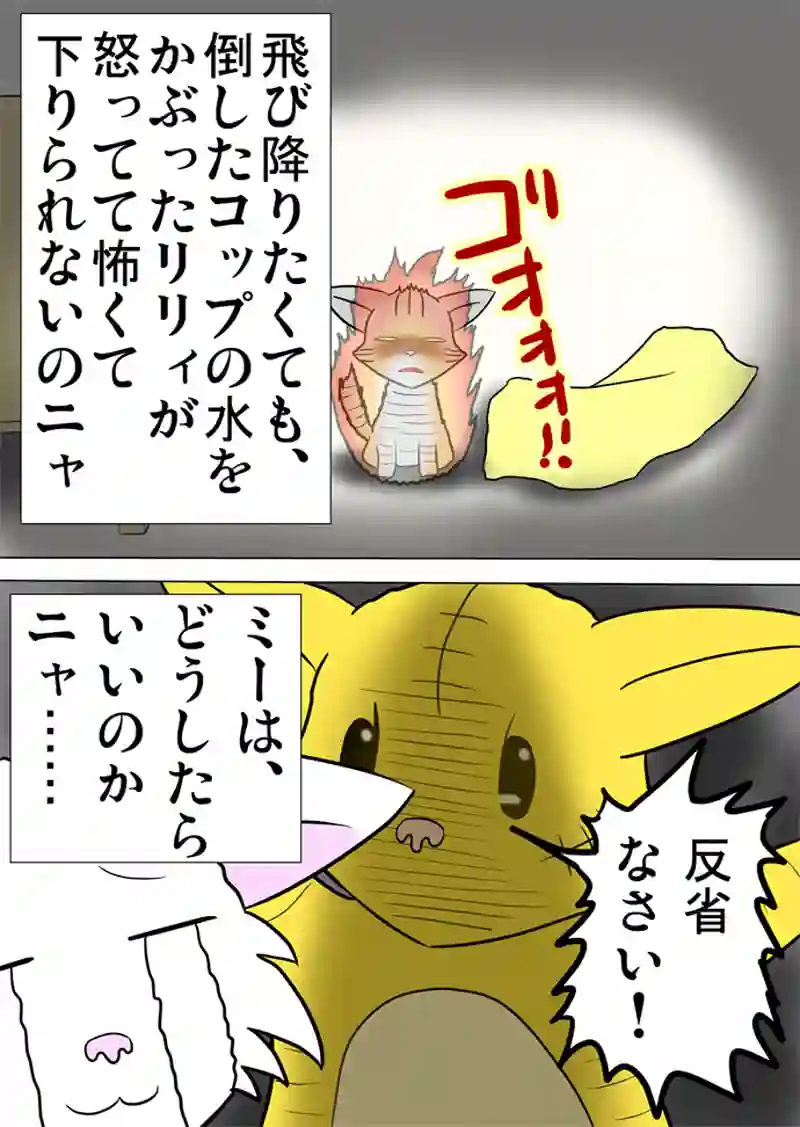 ミーのおもちゃ箱　第969話～第974話