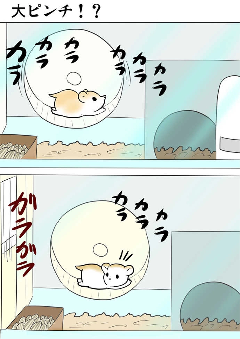 ミーのおもちゃ箱４７１話