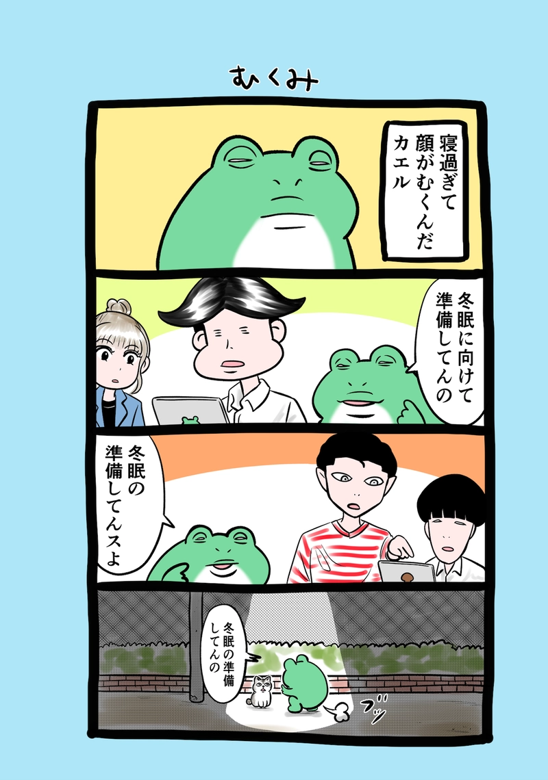急に来てすぐカエル(322)