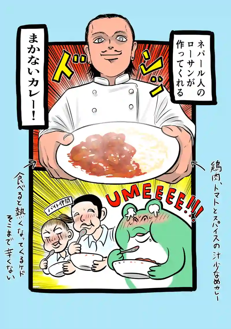 急に来てすぐカエル(305)