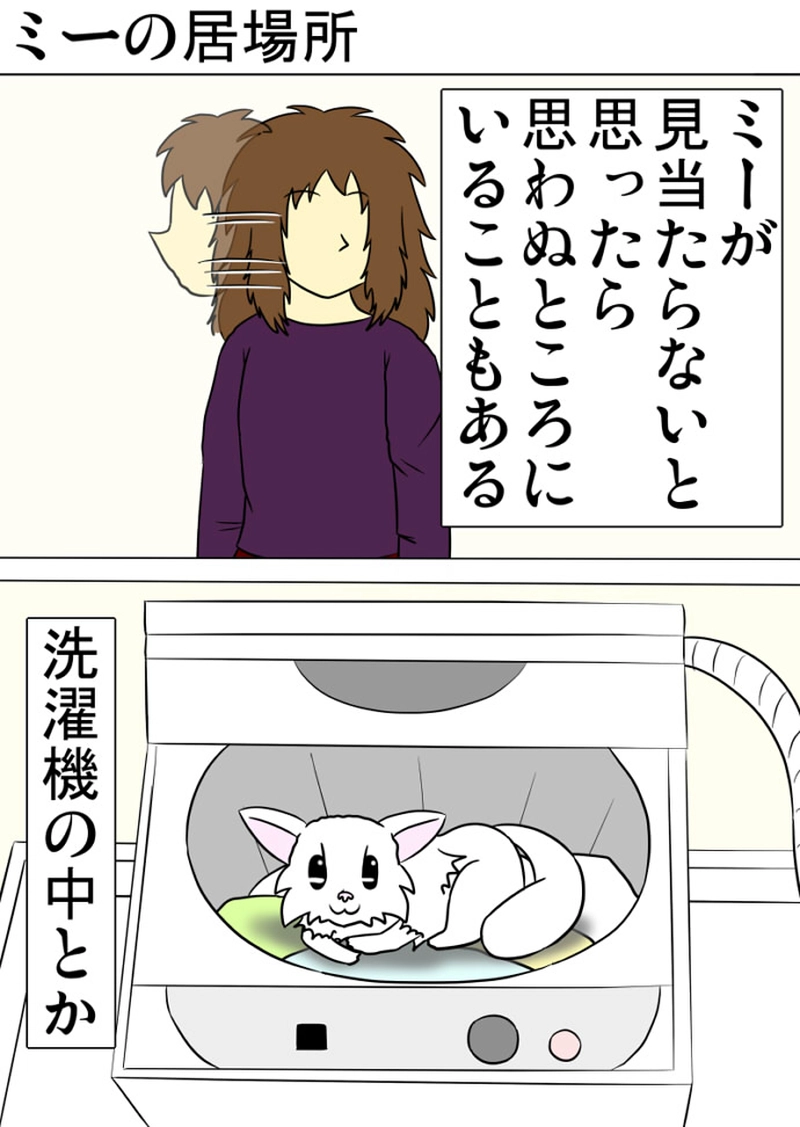 ミーのおもちゃ箱 第1288話～第1293話