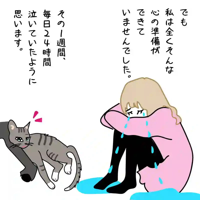 第5話 17才老猫　ニューヨーク闘病日記