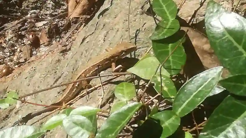 愚痴