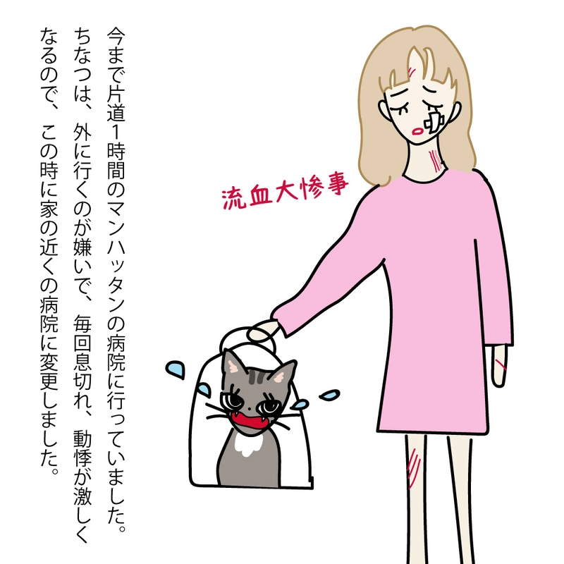 第2話 17才老猫　ニューヨーク闘病日記