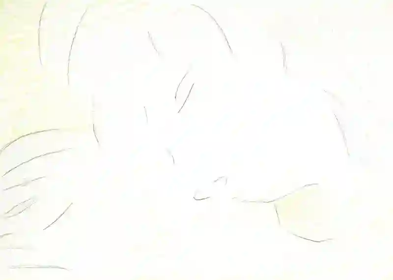 LAP.81 綱渡り