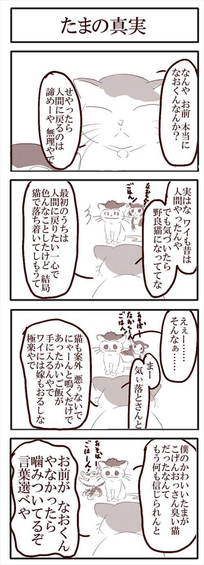 №29　猫になったなおや