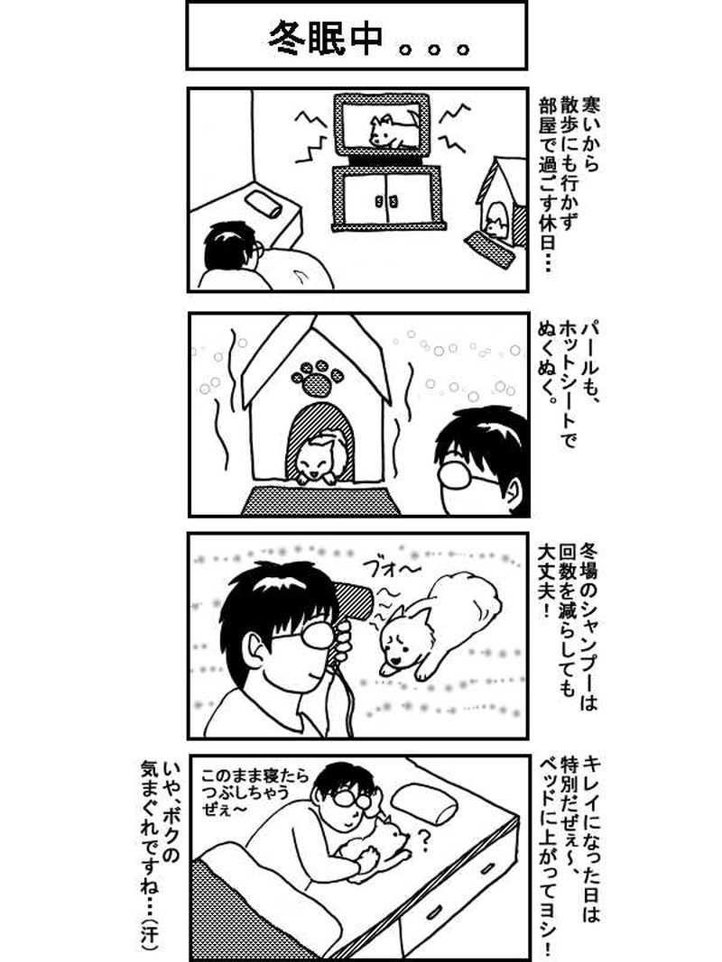 ボクとポメのドタバタ生活、一年間　その35（141～145話）