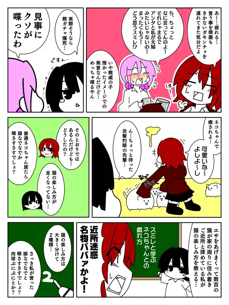 猫カフェ