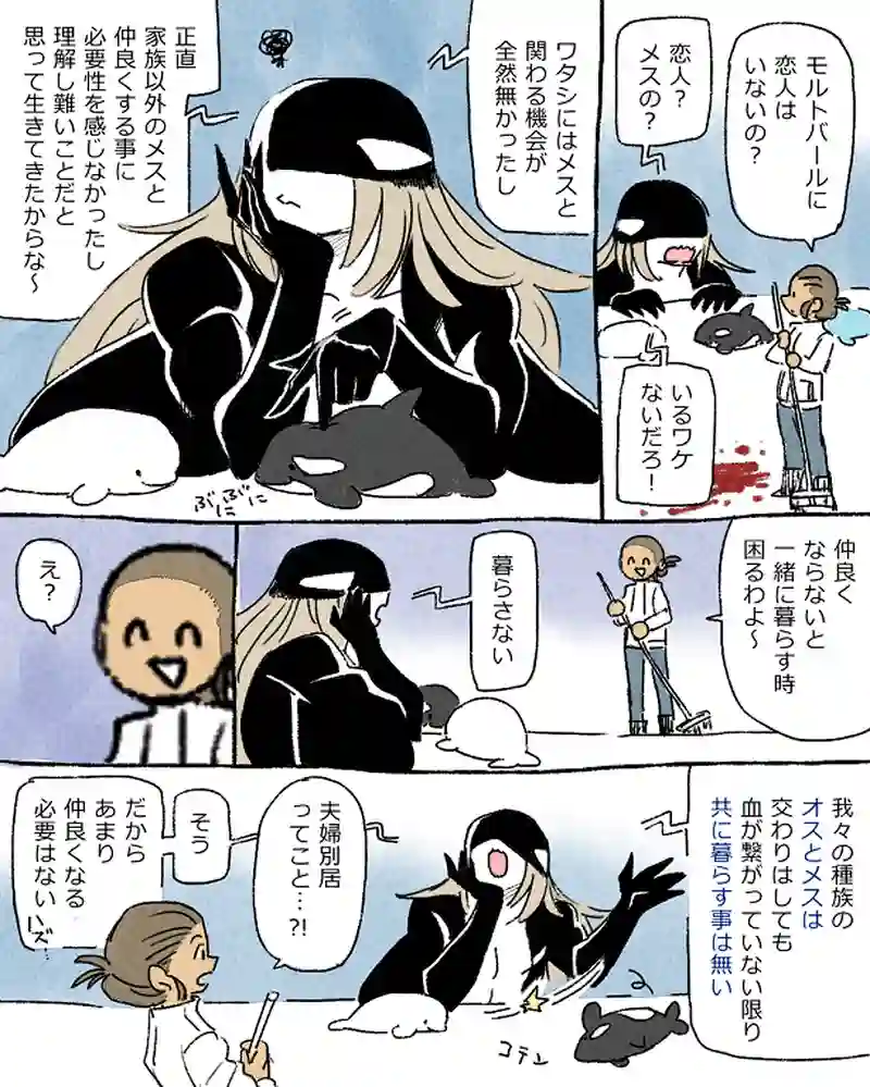 モルトバール５