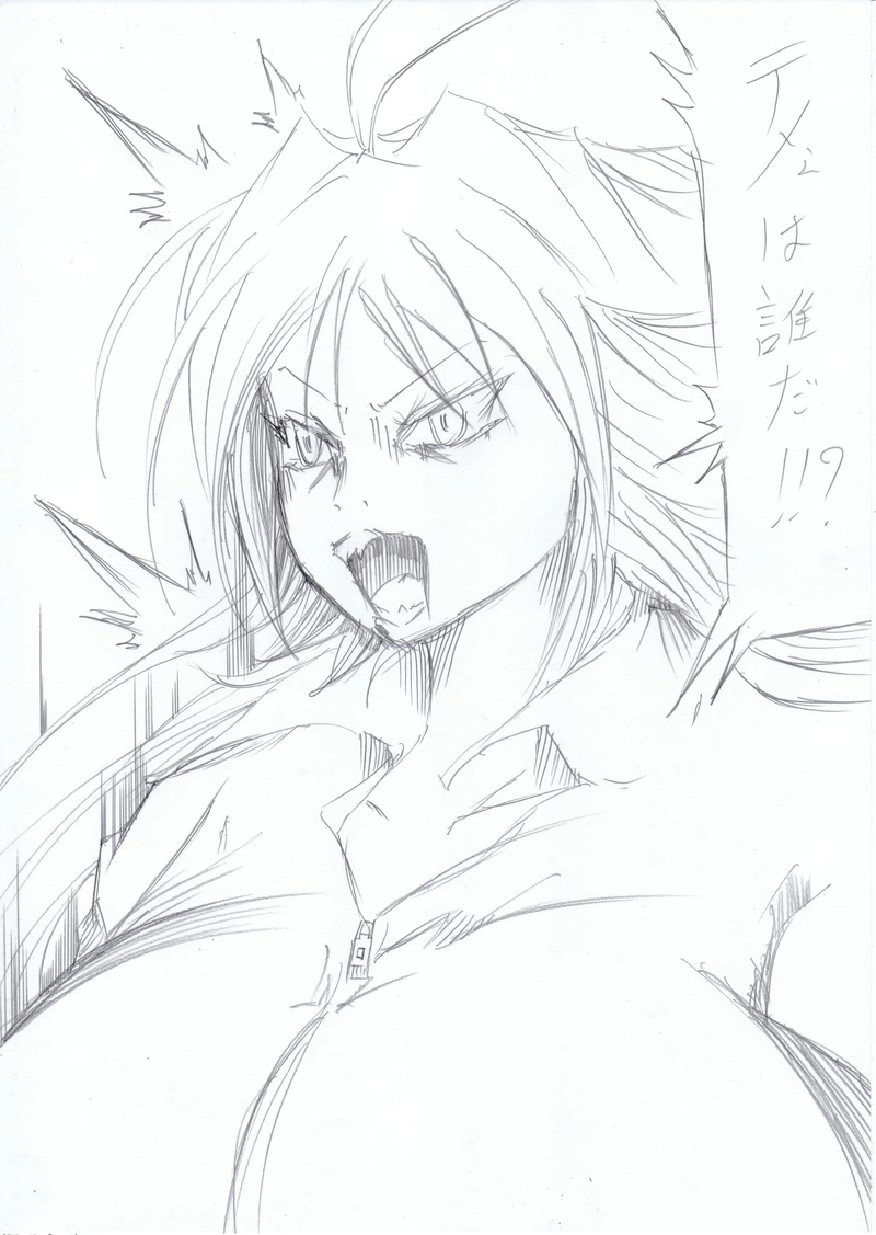 ソニックバードロンド【Vol:12】