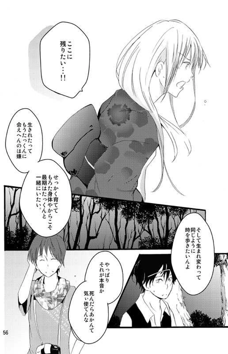 十五日間のかぐや姫