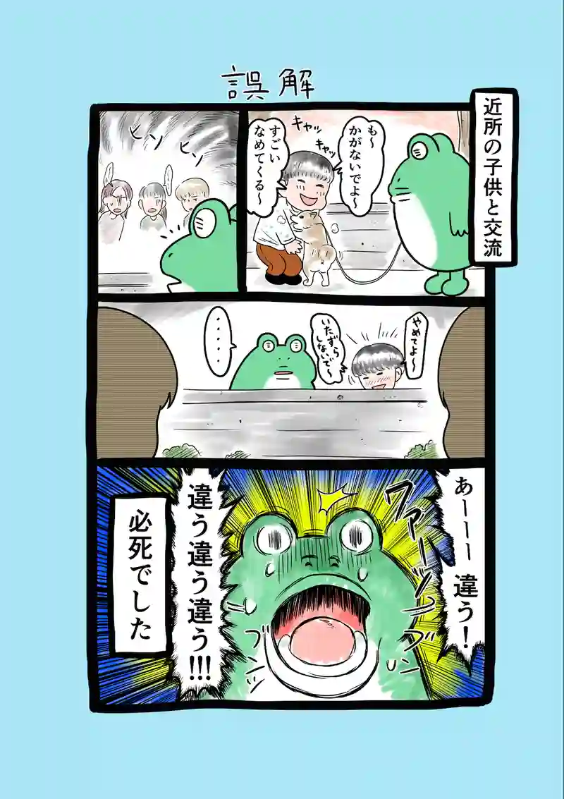 急に来てすぐカエル(239)