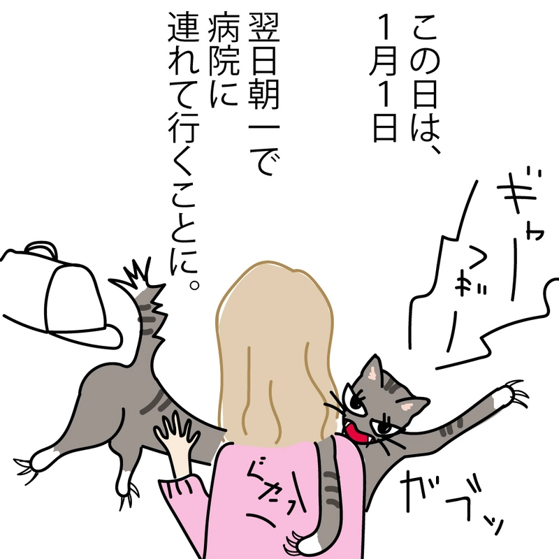 第2話 17才老猫　ニューヨーク闘病日記