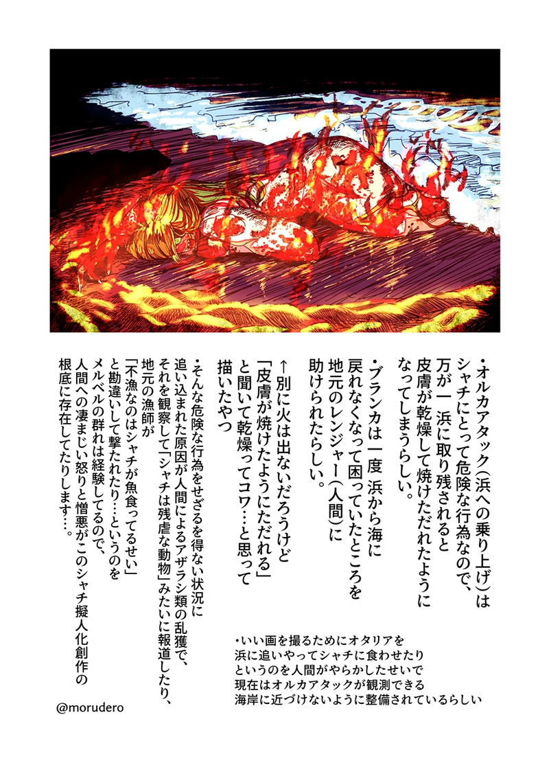 メルとベルナルド設定