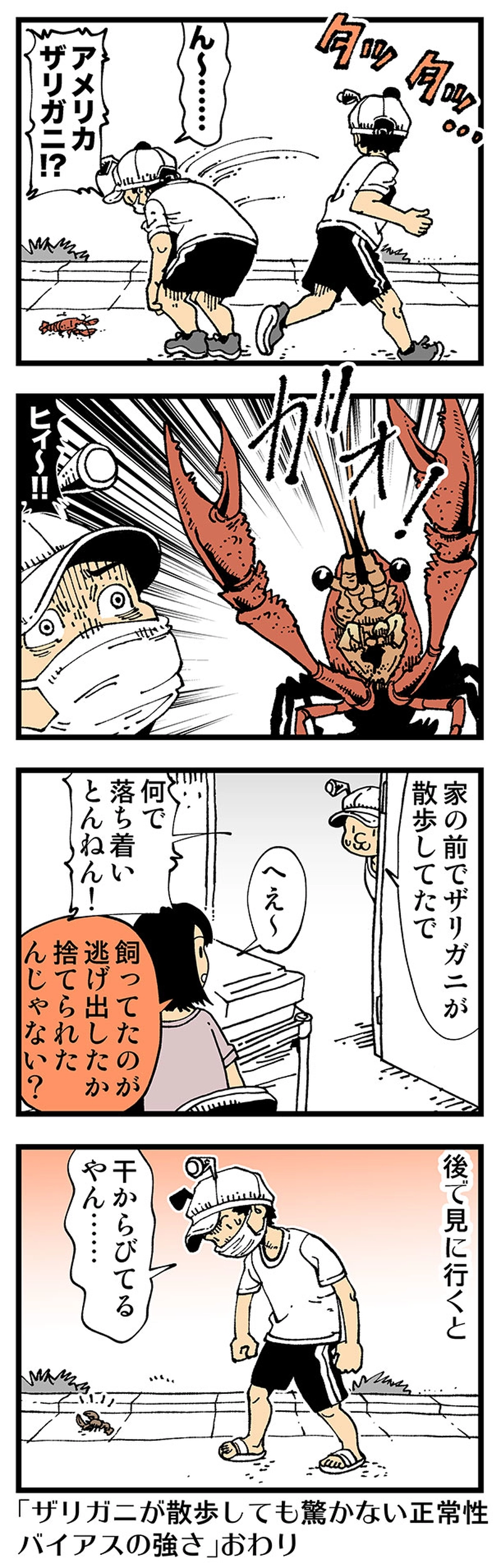 【普通】驚かなガール