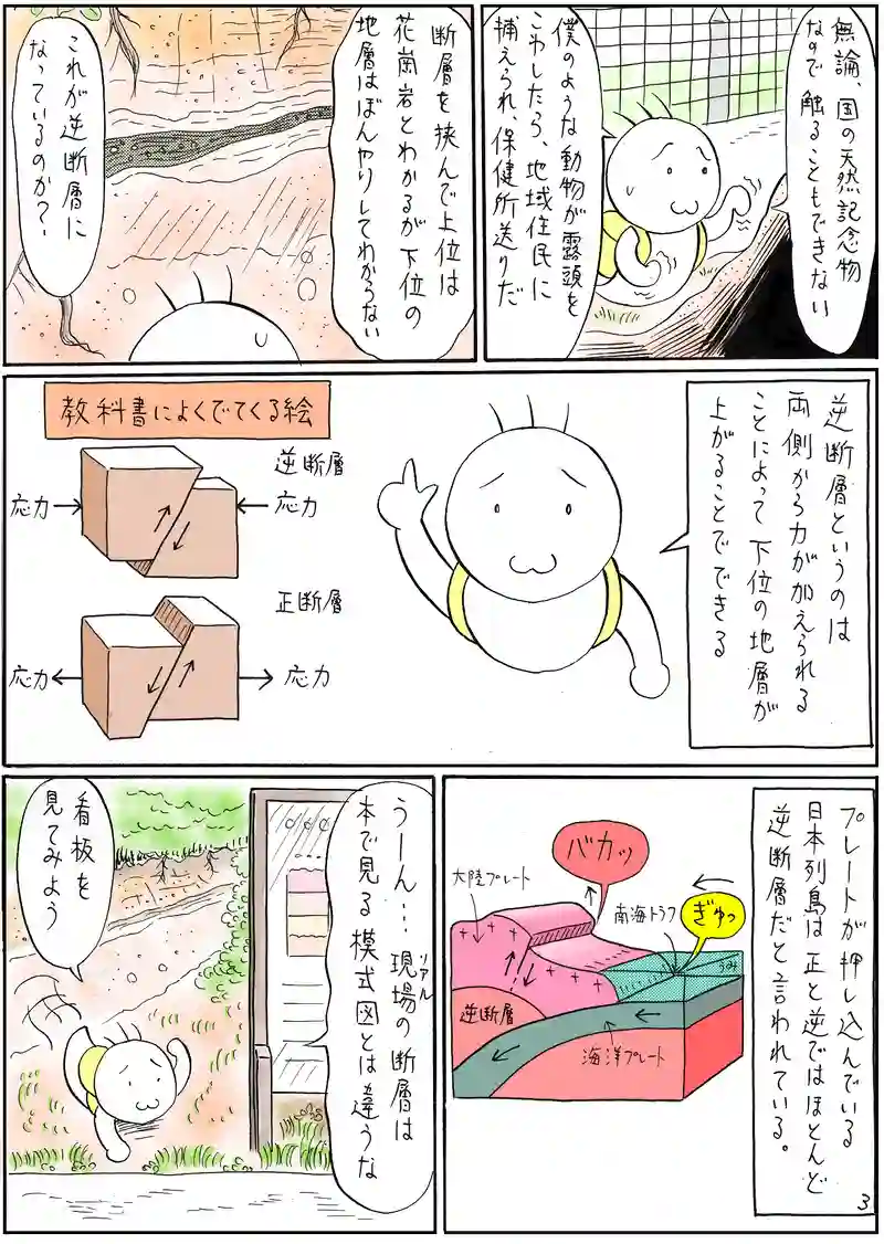 逆断層帯