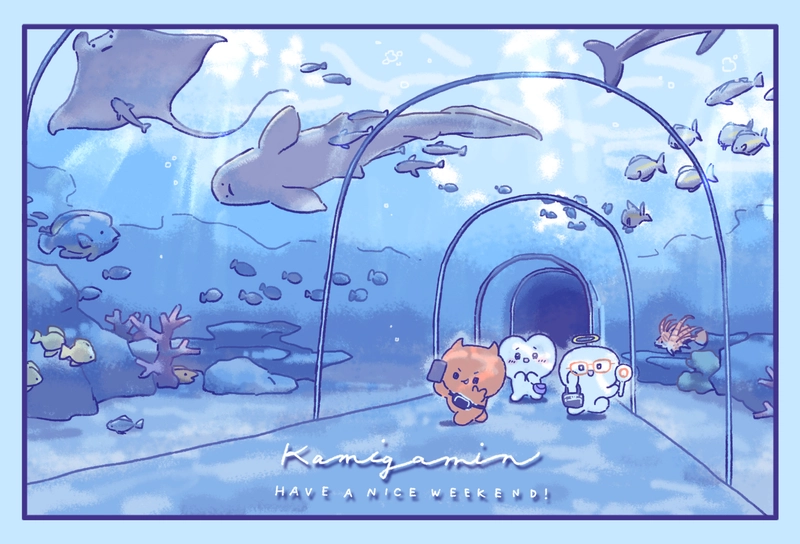 かみがみん　22話〜28話