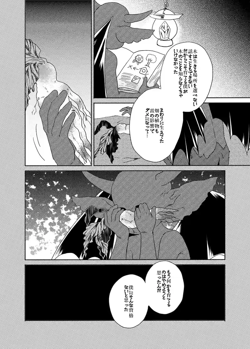 スピンオフ：秘密の花園