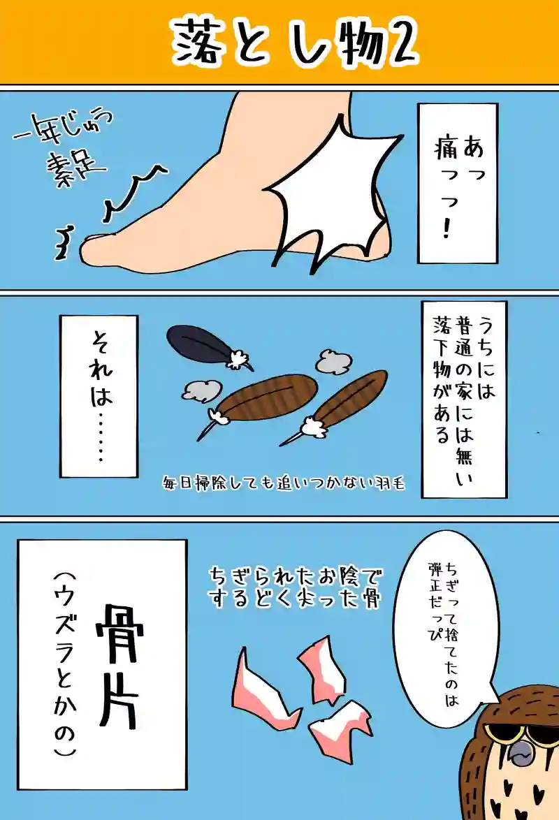 謎の音